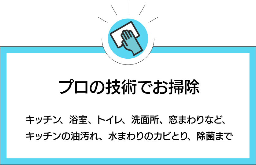 プロの技術でお掃除