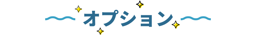 お掃除オプション
